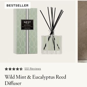 Nest Wild Mint & Eucalyptus Reed Diffuser